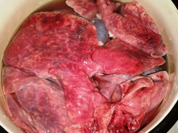 Jágerek z daniela (fotorecept) - obrázok 1