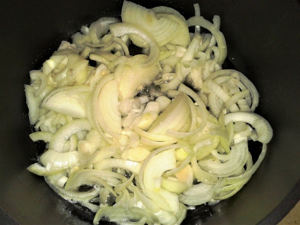 Bieda (fotorecept) - obrázok 2