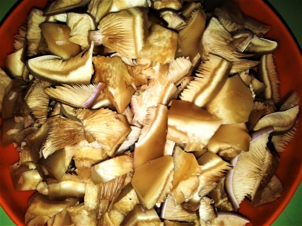 Guláš z pôvabnice dvojfarebnej (fotorecept) - obrázok 2