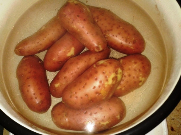 Špekáčikový šašlík s kyslou kapustou (fotorecept) - obrázok 1