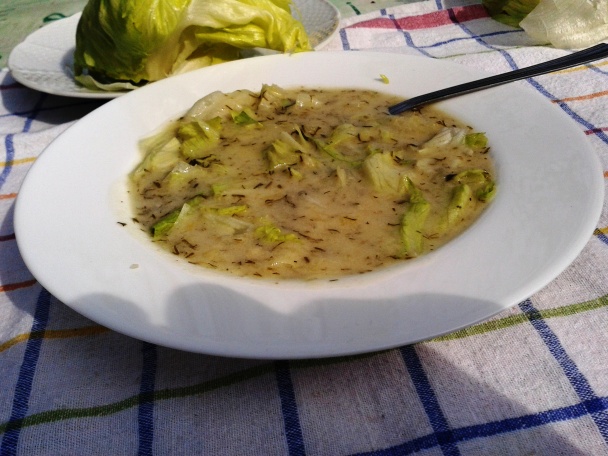 Polievka z ľadového šalátu (fotorecept) - obrázok 6