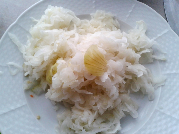 Rybacia kyselica (fotorecept) - obrázok 4