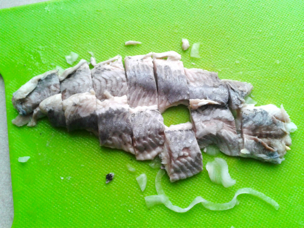Rybacia kyselica (fotorecept) - obrázok 5