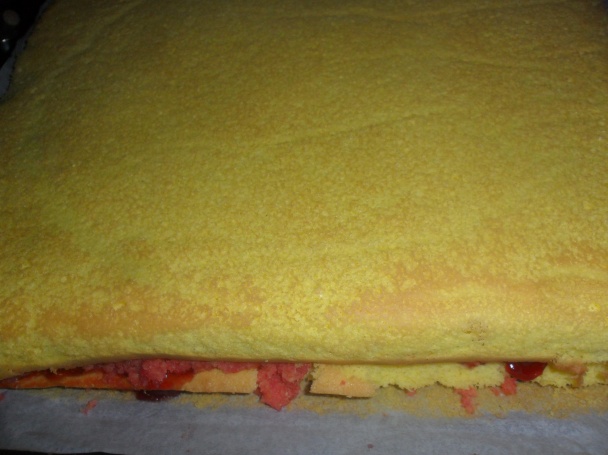 Punčové rezy (fotorecept) - obrázok 5