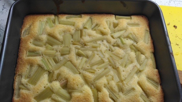 Jahodovo-rebarborové duo (fotorecept) - obrázok 3