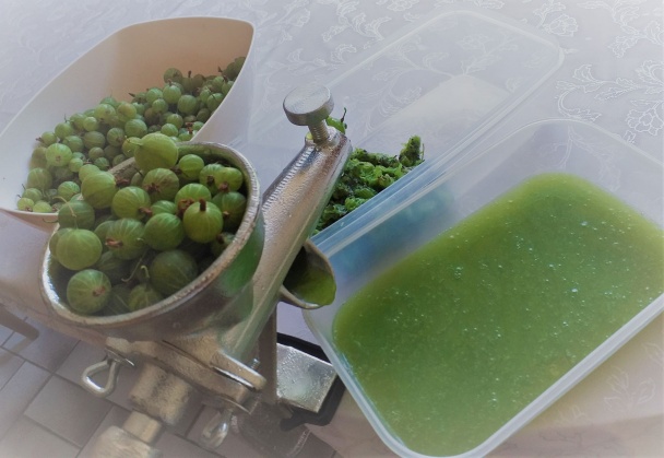 Egrešové metamorfózy (fotorecept) - obrázok 2