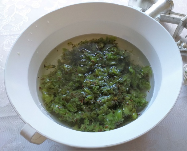 Egrešové metamorfózy - a čo so šupkami? (fotorecept) - obrázok 3