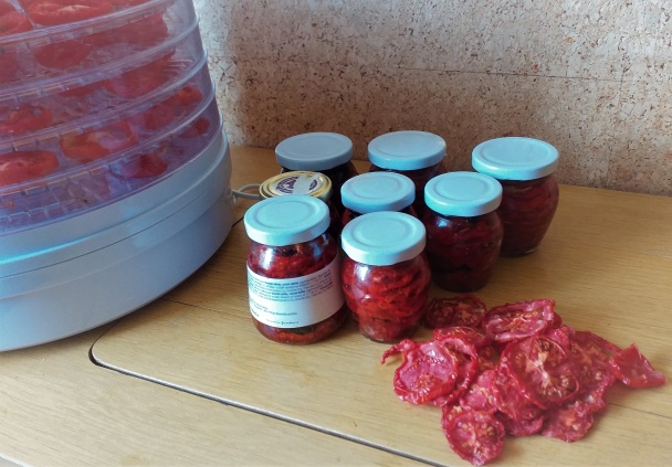 Sušené paradajky - obrázok 1