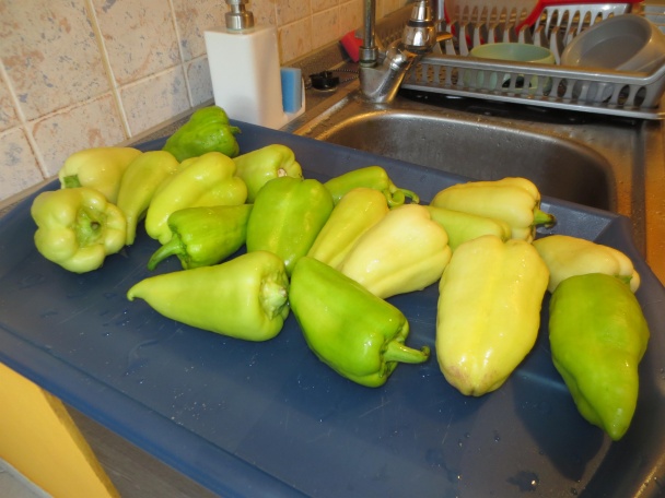 Plnená paprika (fotorecept) - obrázok 4