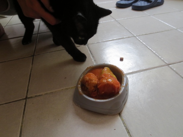 Plnená paprika (fotorecept) - obrázok 13