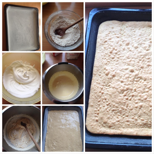 Šťavnatý marhuľový koláč na pol plechu (fotorecept) - obrázok 1