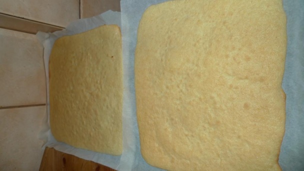 Sankvikové rezy - obrázok 1