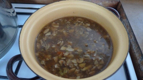 Čínsky Manchurian po slovensky - obrázok 6