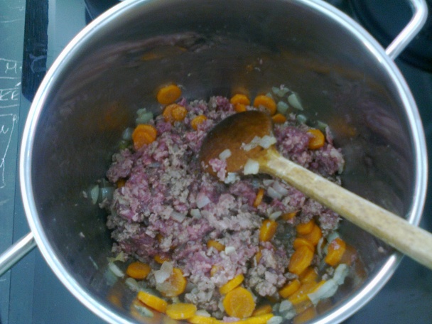 Bucatini s mrkvou a hovädzím mäskom (fotorecept) - obrázok 5