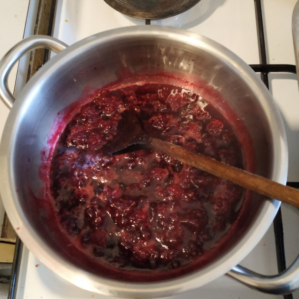 Nepečené kokosovo-ovsené guľôčky v čokoláde s černicovou omáčkou (fotorecept) - obrázok 4