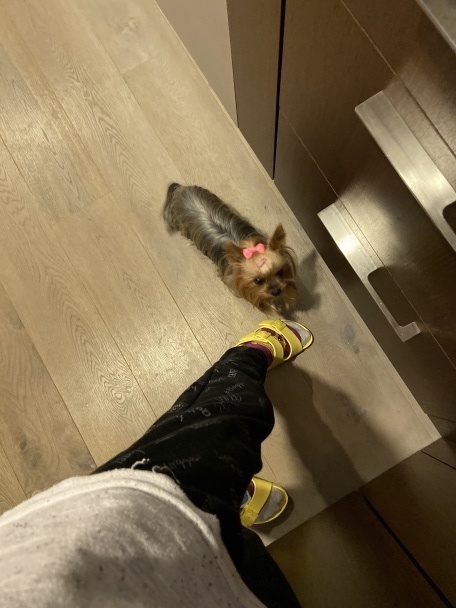 Upgrade-nutá knedľa vo vajíčku - obrázok 9