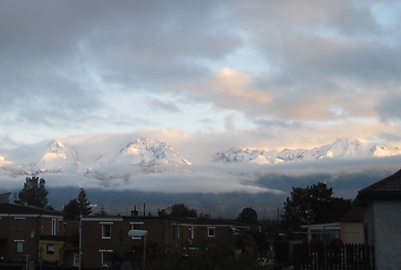 Jesenné spestrenie: vyprážaná bedľa - obrázok 4