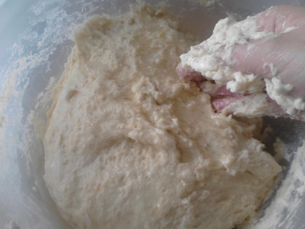 Parená knedľa a buchty 2v1 (fotorecept) - obrázok 1