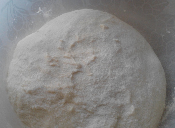 Parená knedľa a buchty 2v1 (fotorecept) - obrázok 2