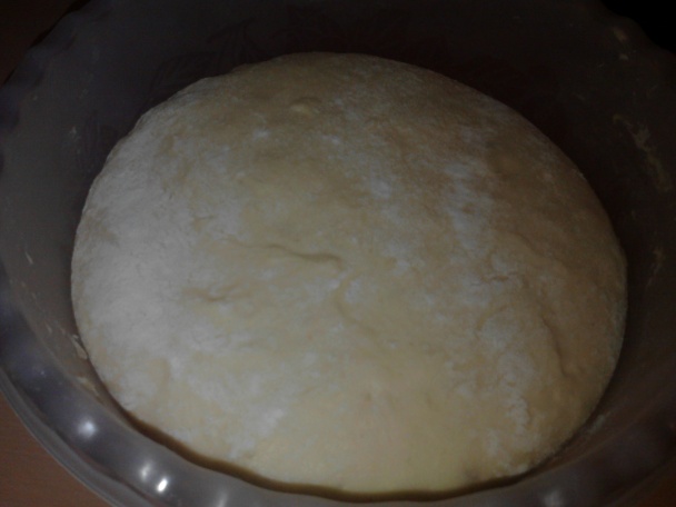 Parená knedľa a buchty 2v1 (fotorecept) - obrázok 3