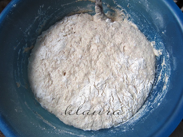 Ochlebník  (fotorecept) - obrázok 2