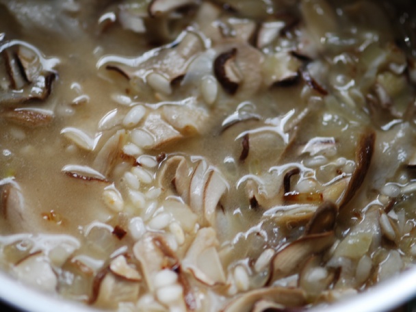 Risotto con funghi, teda s hubami  (fotorecept) - obrázok 5
