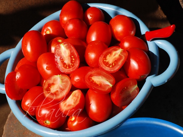 Drvené paradajky - polotovar na zimu (fotorecept) - obrázok 2