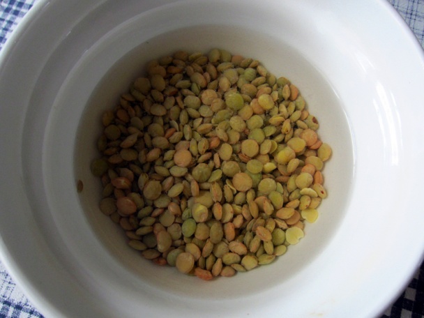 Živá miska (fotorecept) - obrázok 1