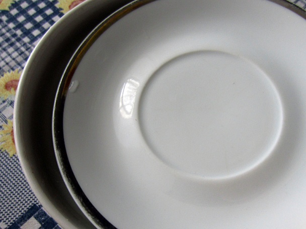 Živá miska (fotorecept) - obrázok 2