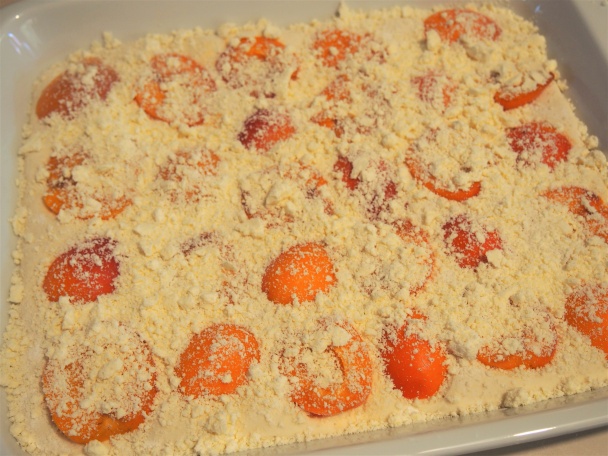 Kysnutý marhuľový koláč bez lepku s posýpkou (fotorecept) - obrázok 8