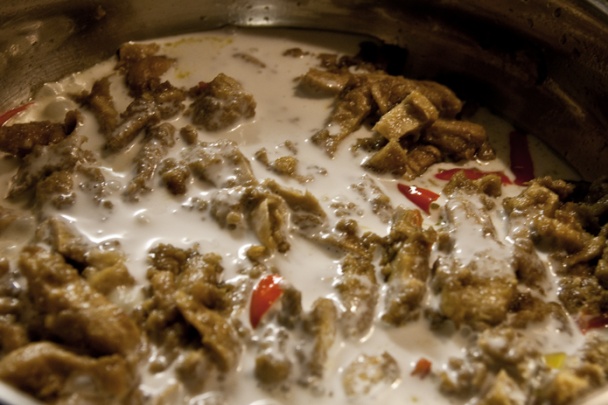 Sójové nudličky na kari a kokose - obrázok 4