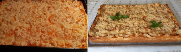 Marhuľový koláč s tvarohom a posýpkou (fotorecept) - obrázok 5