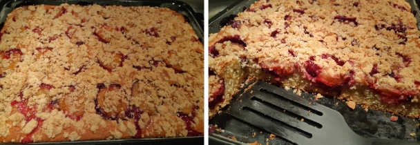 Výborný slivkový koláč z jogurtového cesta (fotorecept) - obrázok 5