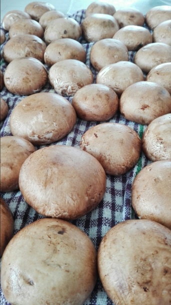 Zapekané šampiňóny (fotorecept) - obrázok 1