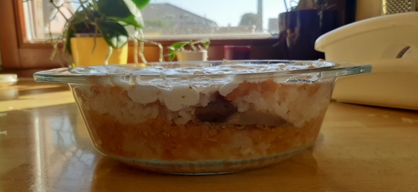 Vegetariánska koložvárska kapusta (fotorecept) - obrázok 5