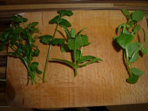 Pšenica so zeleninkou, jemne posypaná bryndzou (fotorecept) - obrázok 11