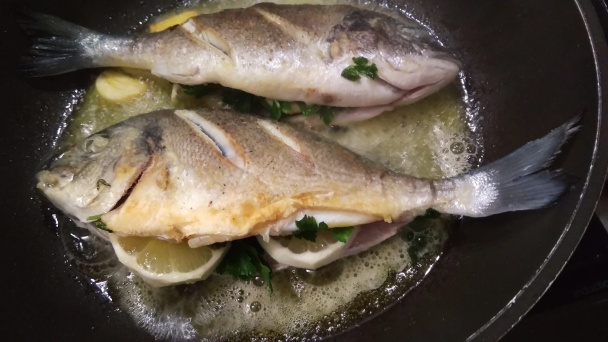 Pražma kráľovská (Orata, Sparus aurata) a slávky (fotorecept) - obrázok 4