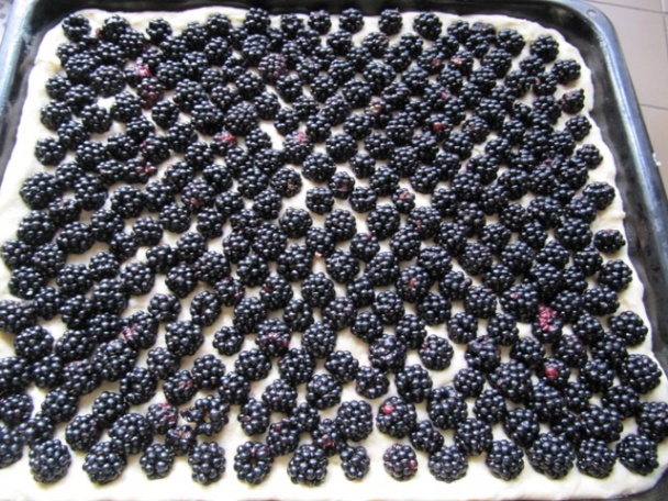 Bohatý černicový koláč (fotorecept) - obrázok 3