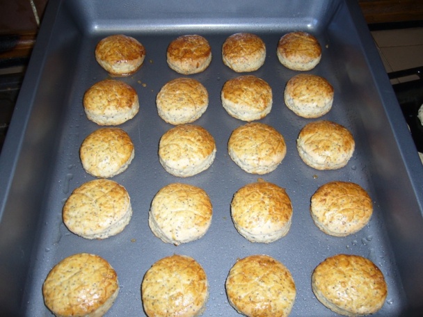 Burgyňáky (fotorecept) - obrázok 7