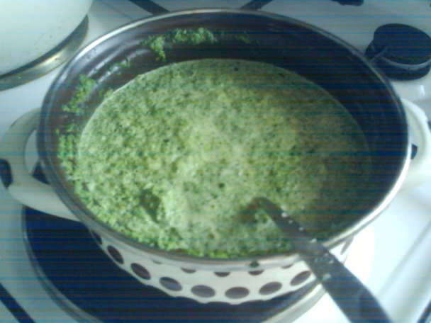 Lasagne so smotanovým špenátom - obrázok 1