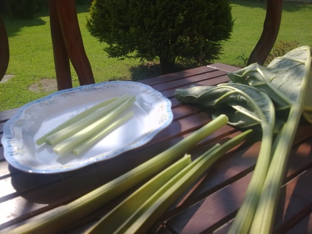 Rebarborový koláč s tvarohom (fotorecept) - obrázok 2