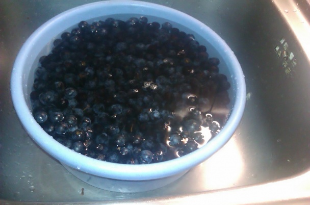 Trnkový likér (fotorecept) - obrázok 1