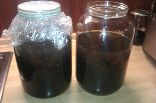 Trnkový likér (fotorecept) - obrázok 2