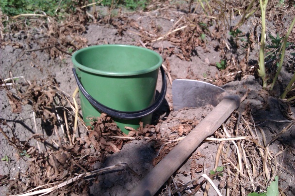 Pochúťka zrelého leta (fotorecept) - obrázok 1