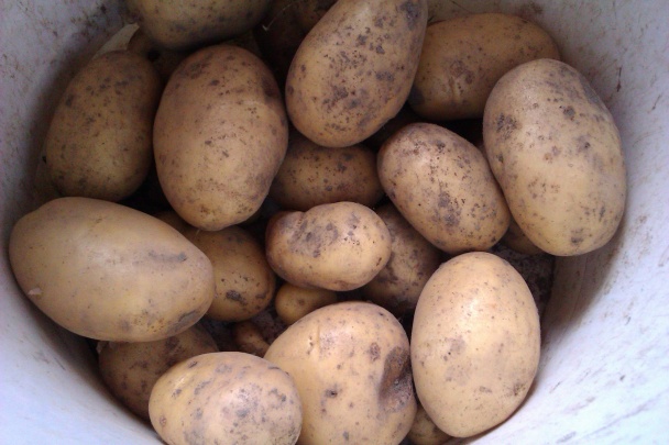 Pochúťka zrelého leta (fotorecept) - obrázok 2