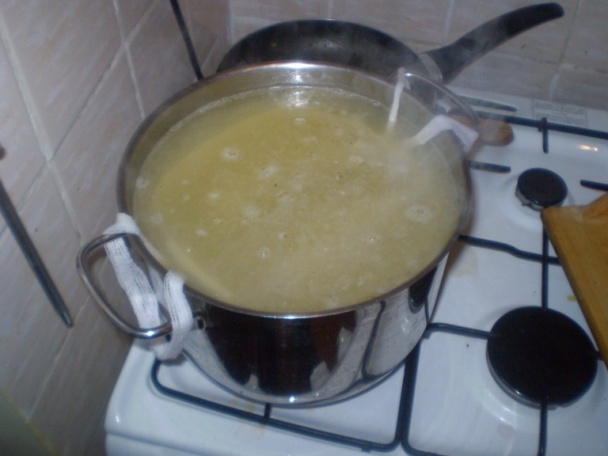 Domáce jaternice - obrázok 6