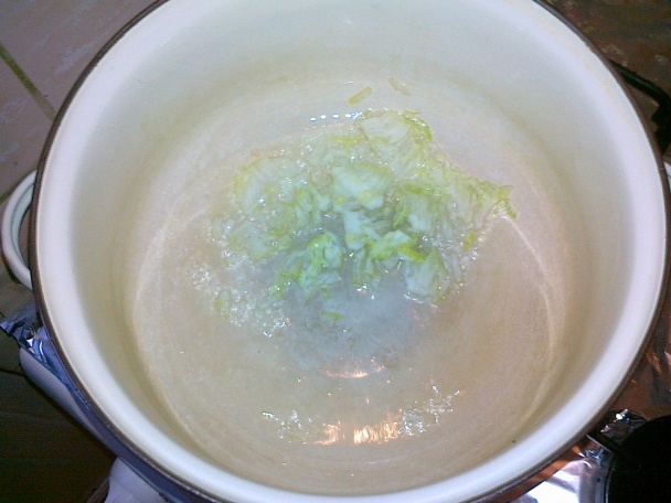 Balatónska špecialita - obrázok 2