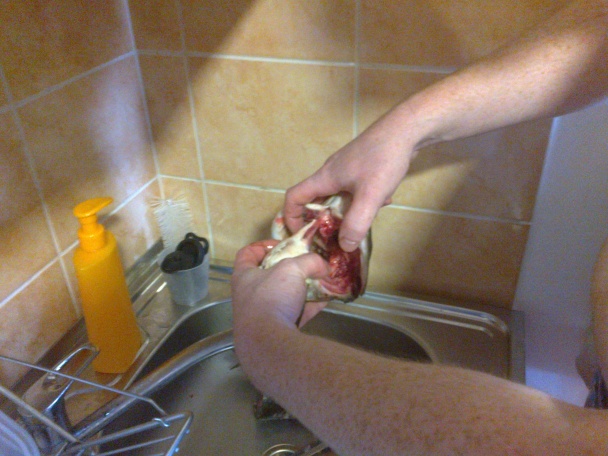 Vianočná rybacia polievka (fotorecept) - obrázok 2