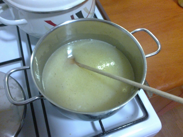 Bravčové pliecko na rasci (fotorecept) - obrázok 4