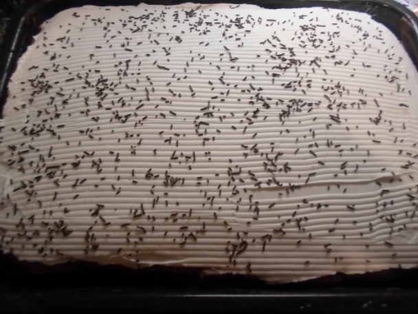 Svieže rezy (fotorecept) - obrázok 5